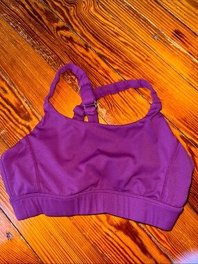 Paragon Fitwear Purple Women's Swim Top